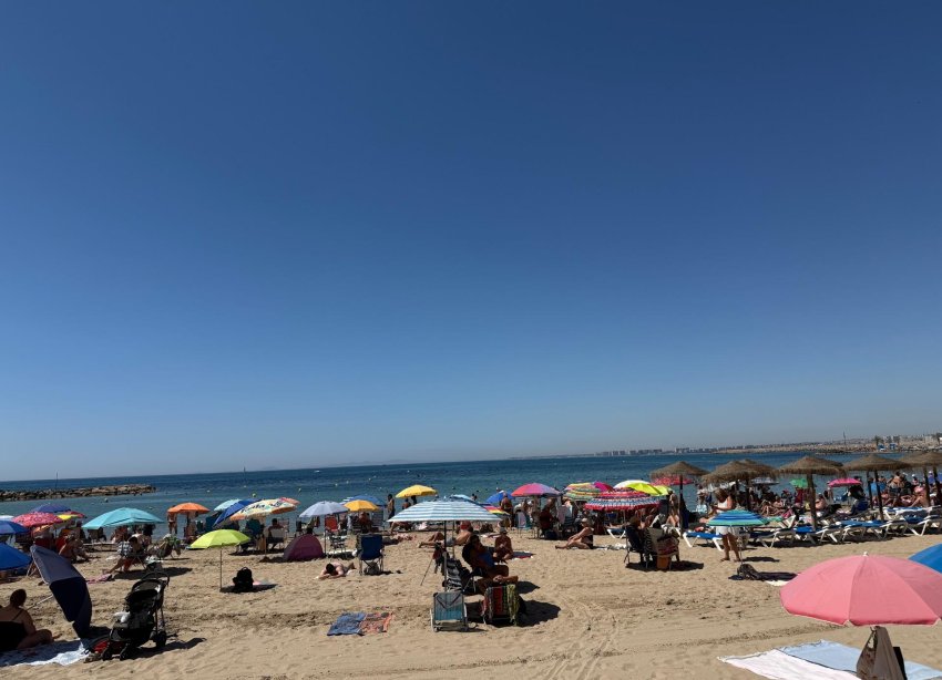 Reventa - Apartamento - Torrevieja - Playa del cura