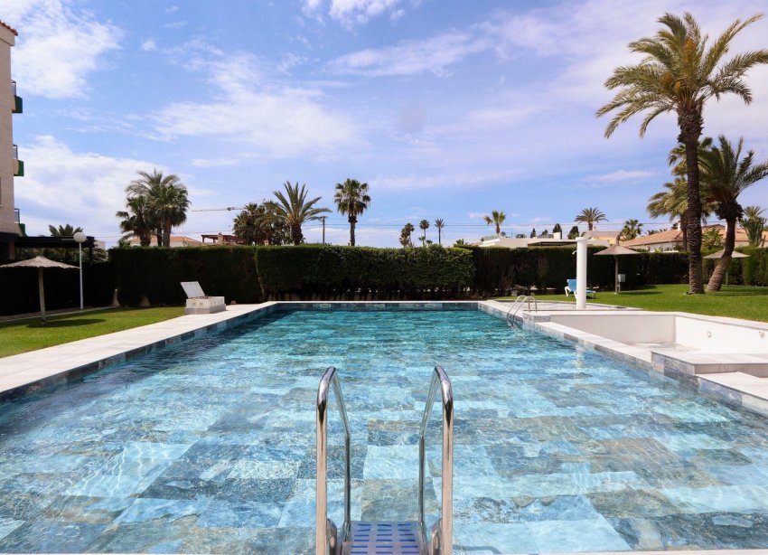 Reventa - Apartamento - Torrevieja - Playa Flamenca