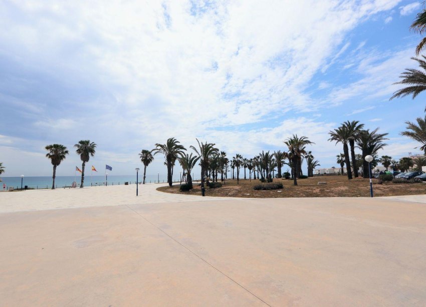 Reventa - Apartamento - Torrevieja - Playa Flamenca