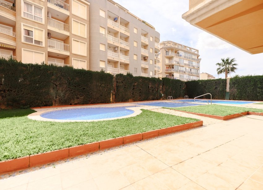 Reventa - Apartamento - Torrevieja - Playa Los Locos