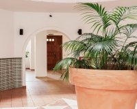 Reventa - Apartamento - Torrevieja - Playa Los Locos