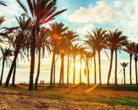 Reventa - Apartamento - Torrevieja - Punta prima