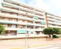 Reventa - Apartamento - Torrevieja - Punta Prima