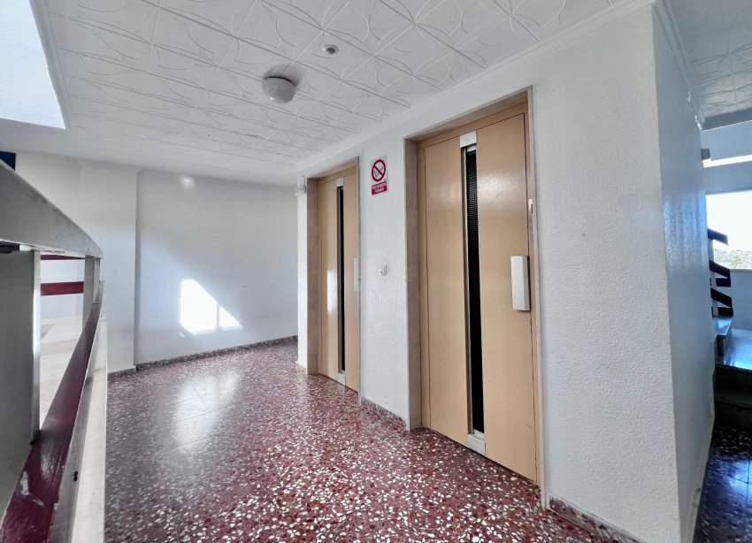 Reventa - Apartamento - Torrevieja - Punta prima