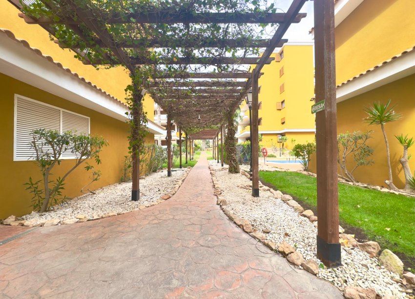 Reventa - Apartamento - Torrevieja - Punta Prima