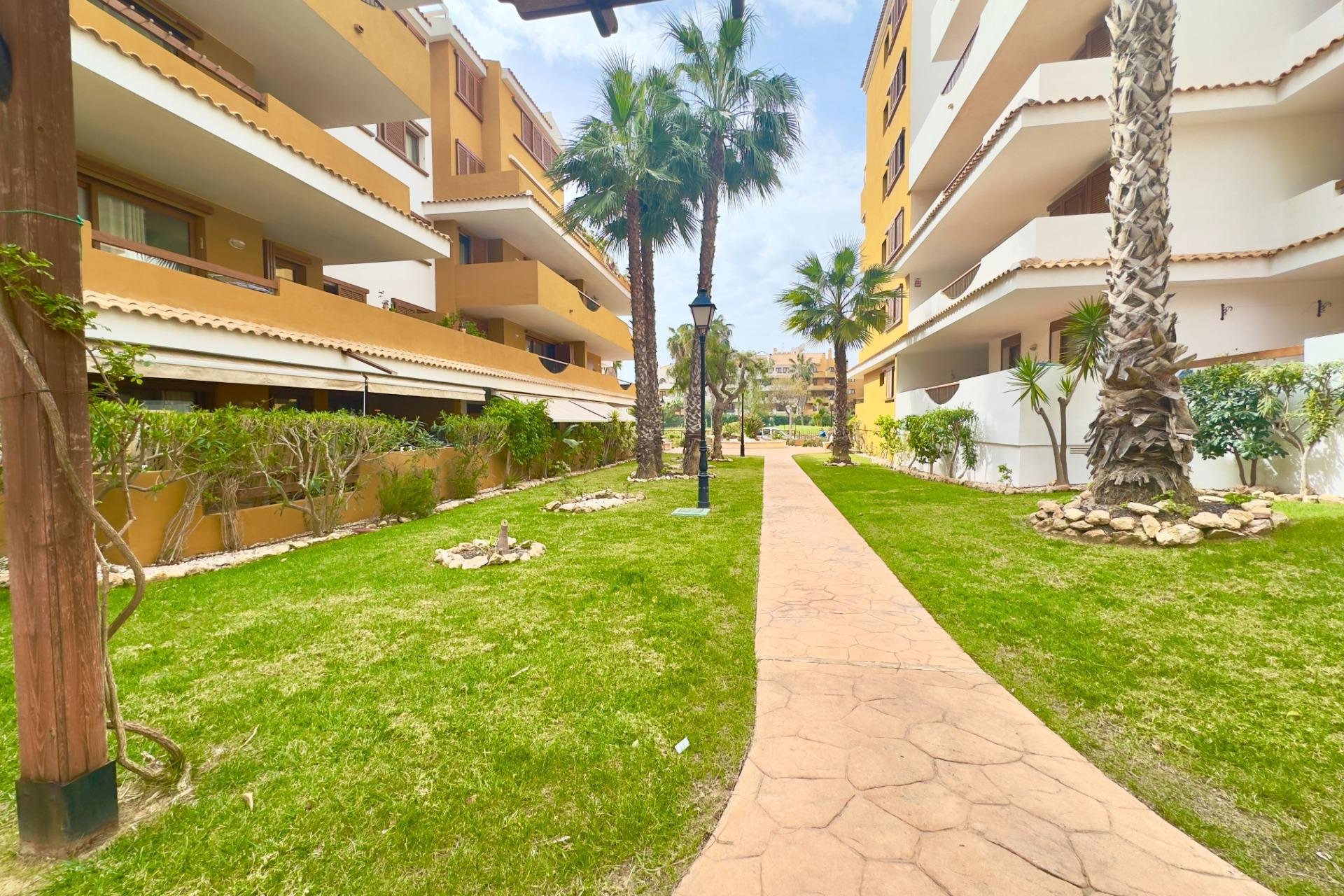 Reventa - Apartamento - Torrevieja - Punta Prima