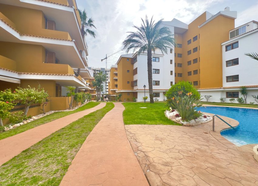 Reventa - Apartamento - Torrevieja - Punta Prima