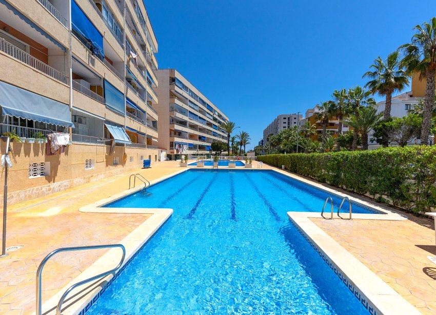 Reventa - Apartamento - Torrevieja - Rocio del Mar