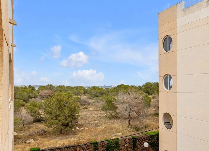 Reventa - Apartamento - Torrevieja - San luis