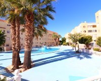 Reventa - Apartamento - Torrevieja - San Luis