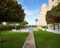 Reventa - Apartamento - Torrevieja - Torreblanca