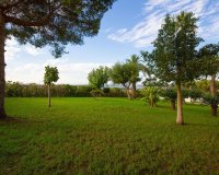 Reventa - Apartamento - Torrevieja - Torreblanca