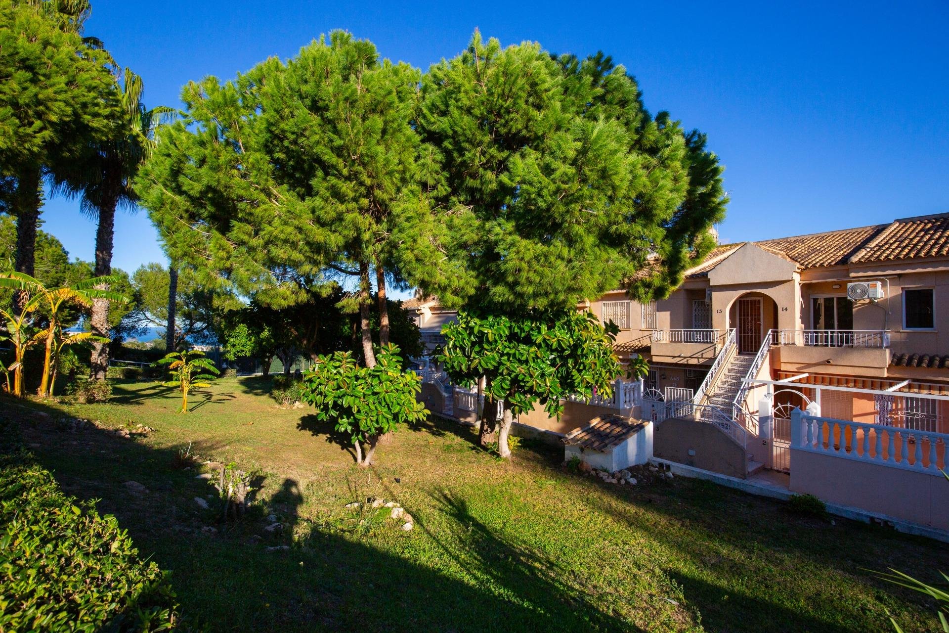 Reventa - Apartamento - Torrevieja - Torreblanca