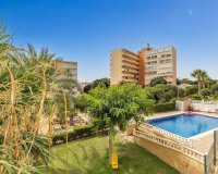 Reventa - Apartamento - Torrevieja - Torreblanca
