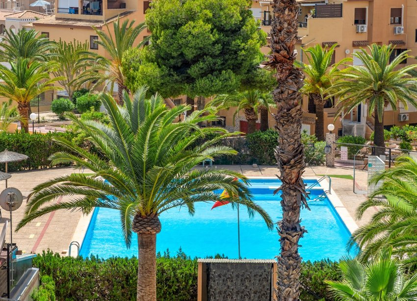 Reventa - Apartamento - Torrevieja - Torrevieja - Aguas Nuevas