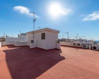 Reventa - Apartamento - Torrevieja - torrevieja