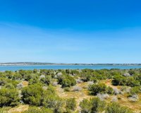 Reventa - Apartamento - Torrevieja - Urbanización San Luis