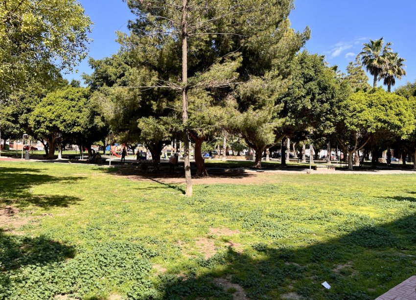 Reventa - Apartamento - Torrevieja