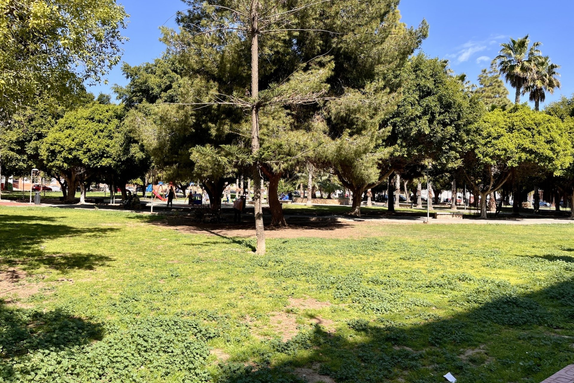 Reventa - Apartamento - Torrevieja