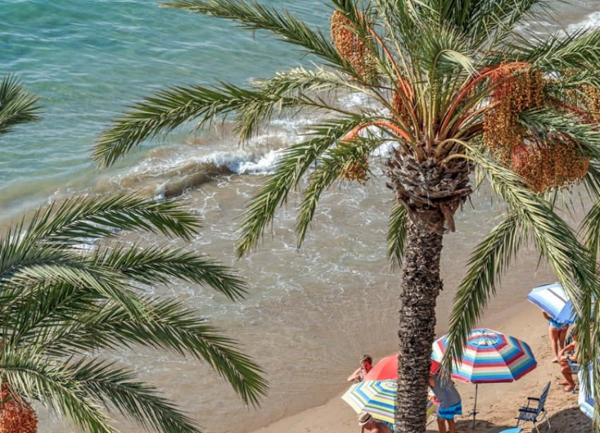 Reventa - Apartamento - Torrevieja