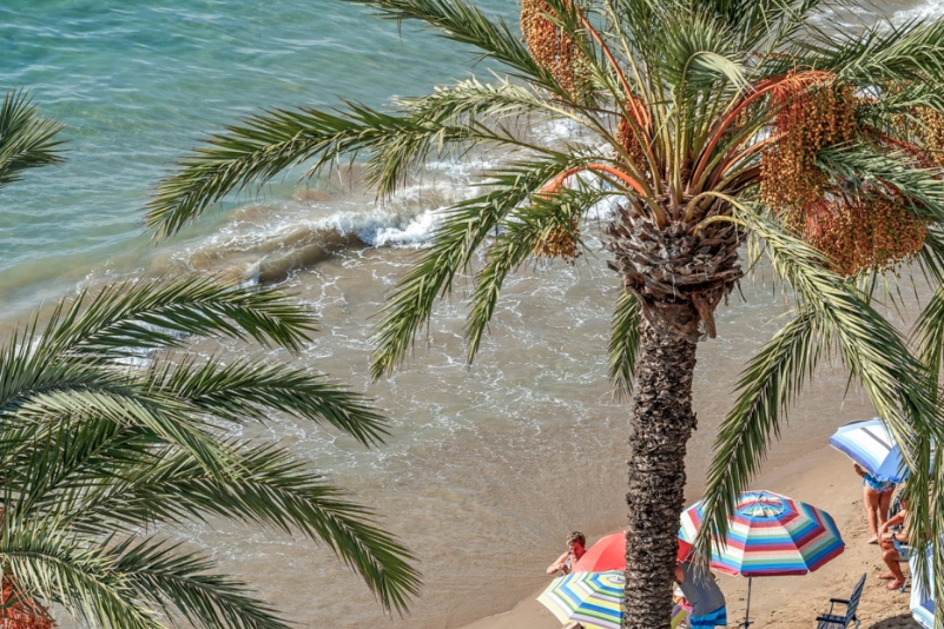 Reventa - Apartamento - Torrevieja