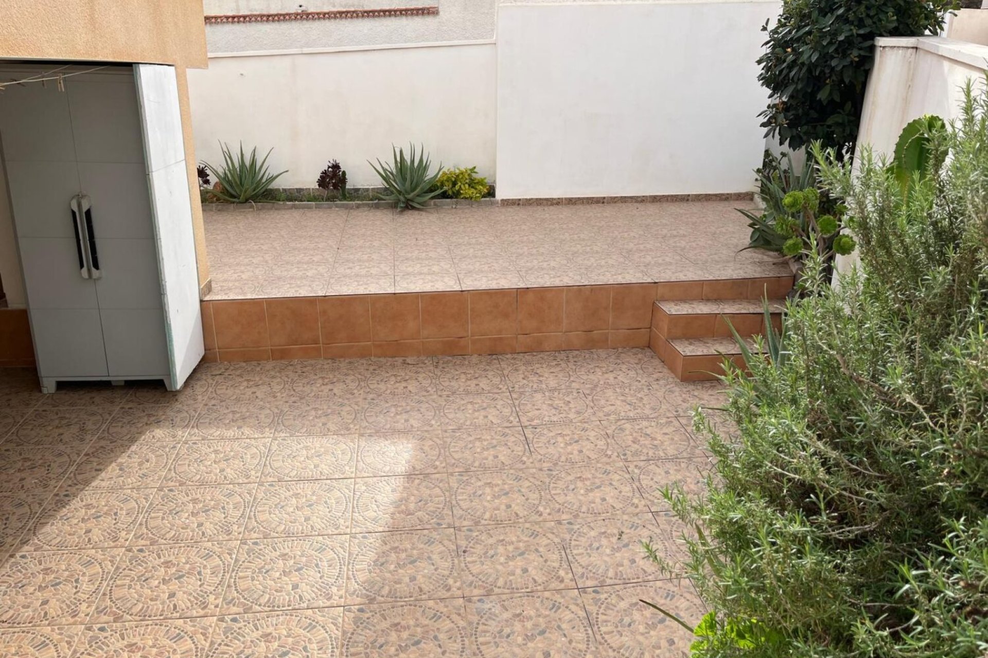 Reventa - Apartamento - Torrevieja