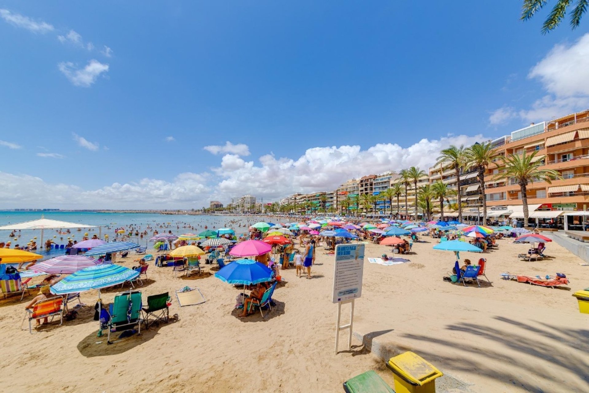 Reventa - Apartamento - Torrevieja