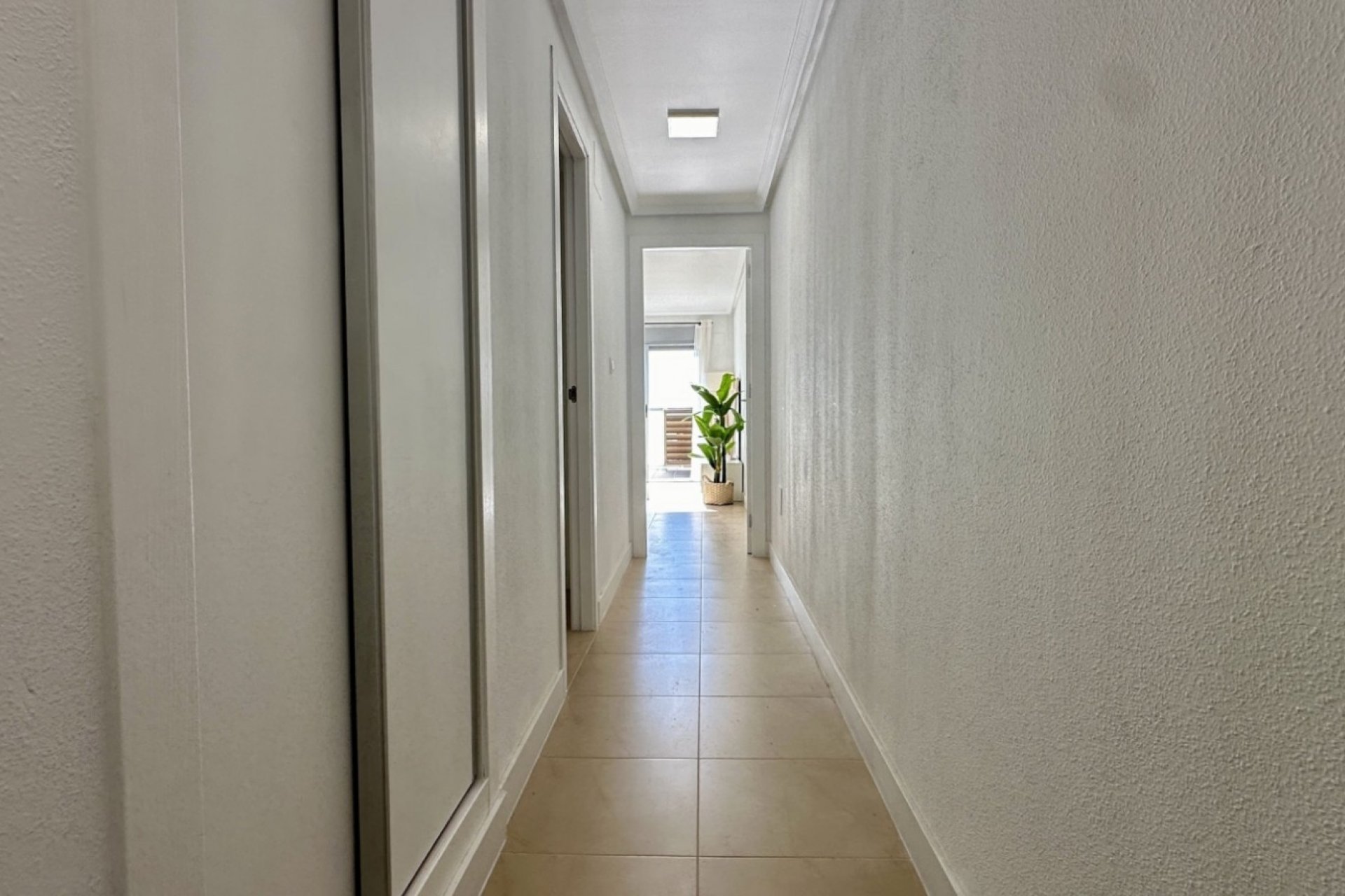 Reventa - Apartamento - Torrevieja