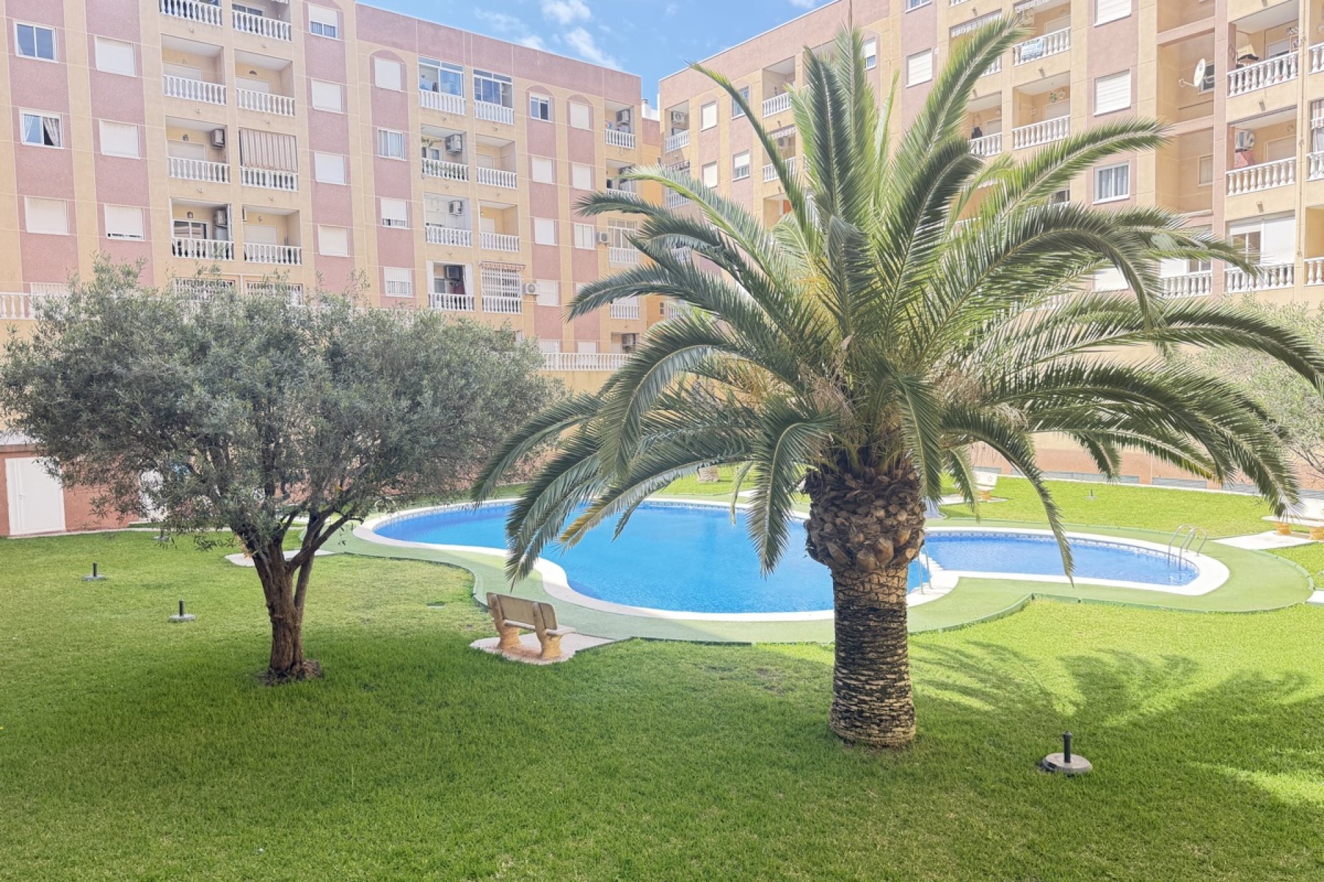 Reventa - Apartamento - Torrevieja