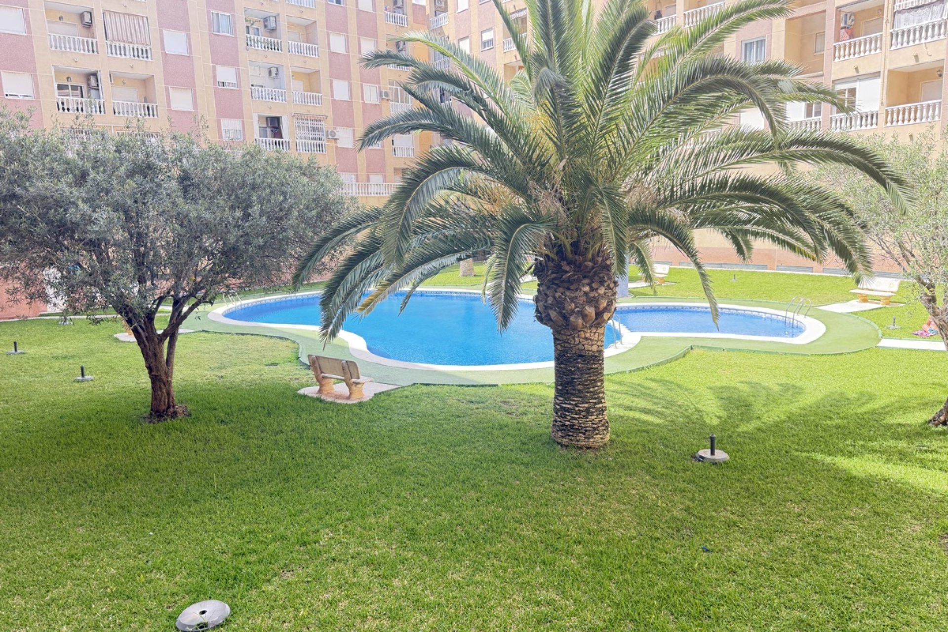 Reventa - Apartamento - Torrevieja