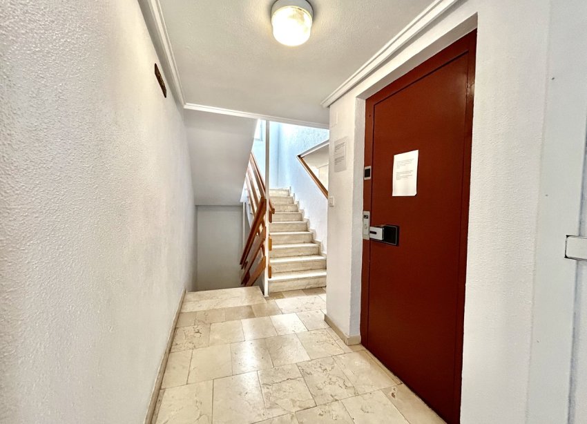 Reventa - Apartamento - Torrevieja