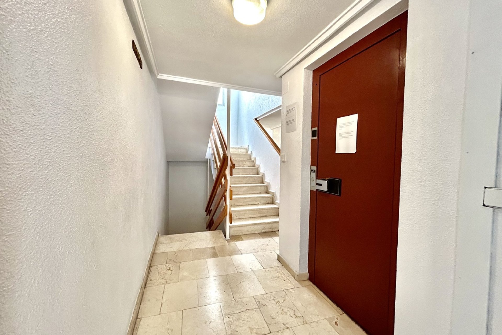 Reventa - Apartamento - Torrevieja