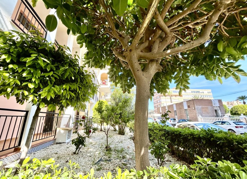Reventa - Apartamento - Torrevieja
