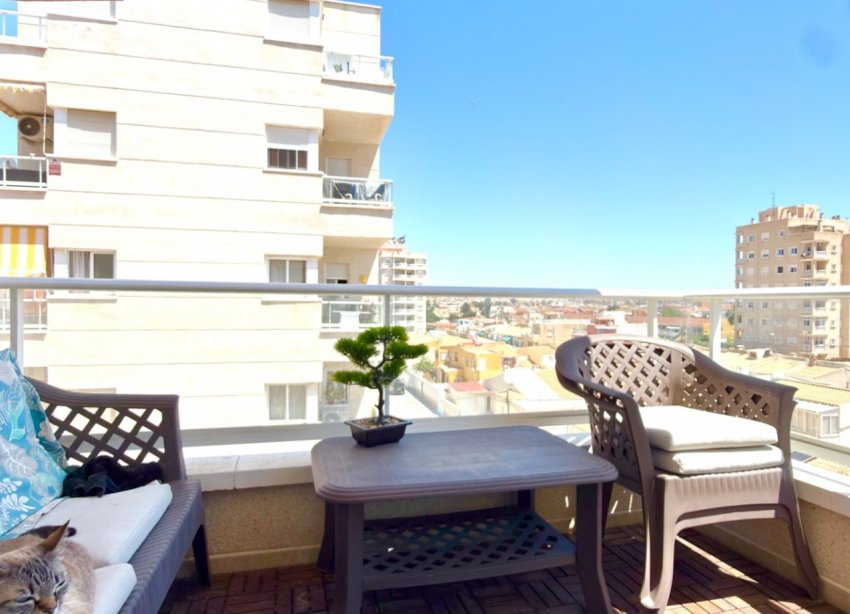 Reventa - Apartamento - Torrevieja
