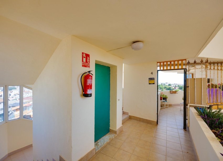 Reventa - Apartamento - Torrevieja