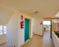 Reventa - Apartamento - Torrevieja