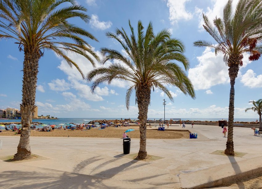 Reventa - Apartamento - Torrevieja