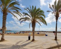 Reventa - Apartamento - Torrevieja