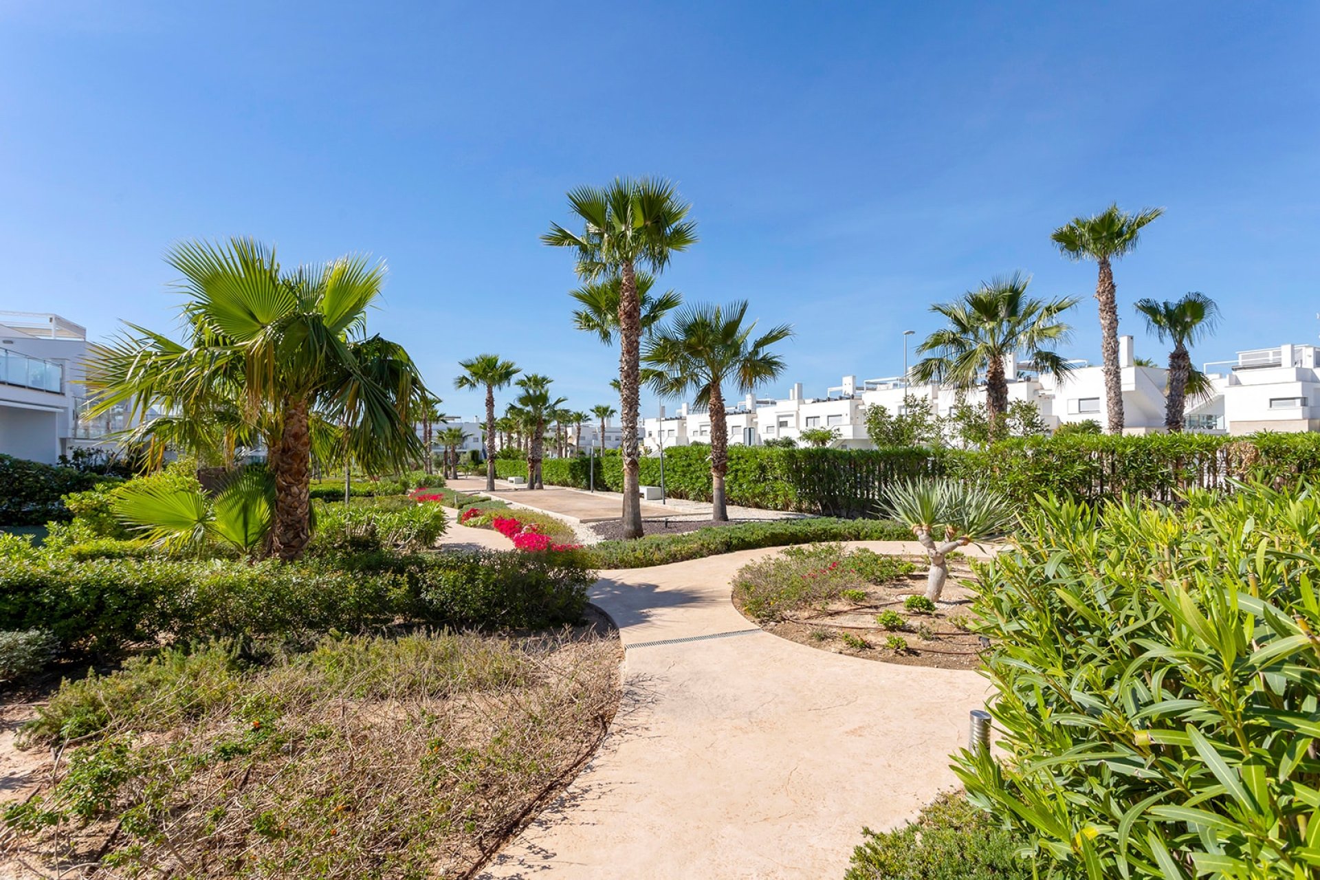 Reventa - Apartamento - Vistabella Golf
