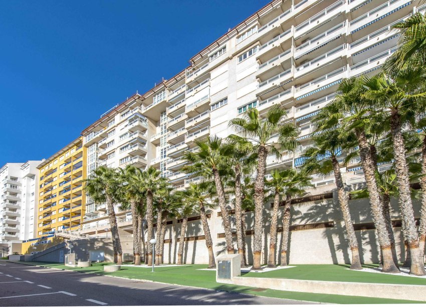 Reventa - Apartment - Orihuela Costa - Campoamor