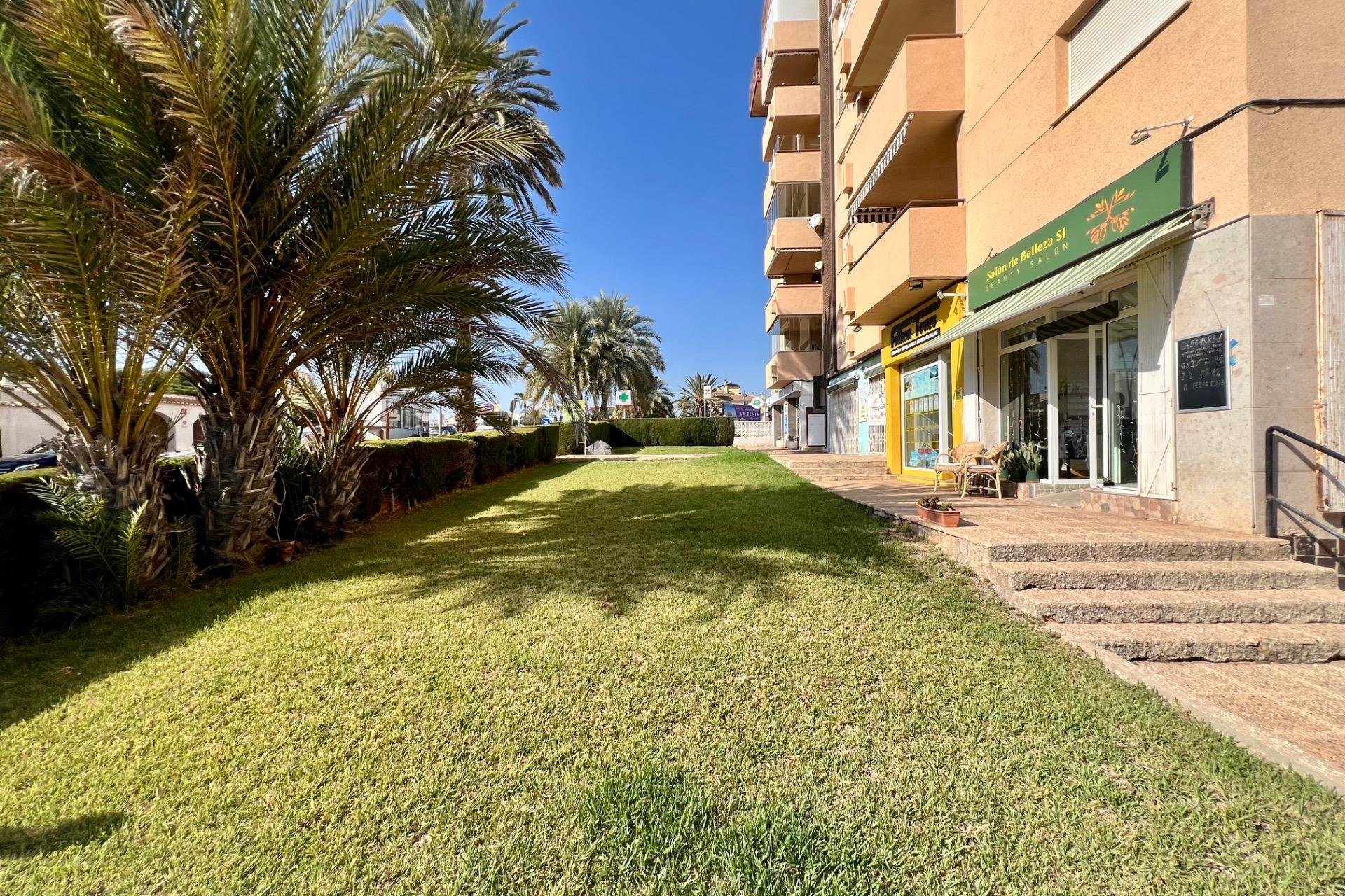 Reventa - Apartment - Orihuela Costa - La Zenia