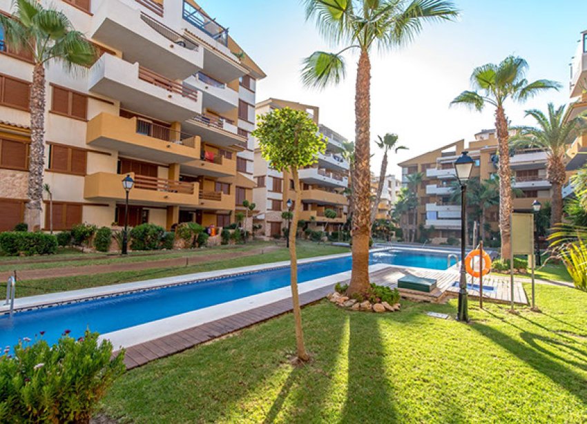 Reventa - Apartment - Punta Prima - La Recoleta