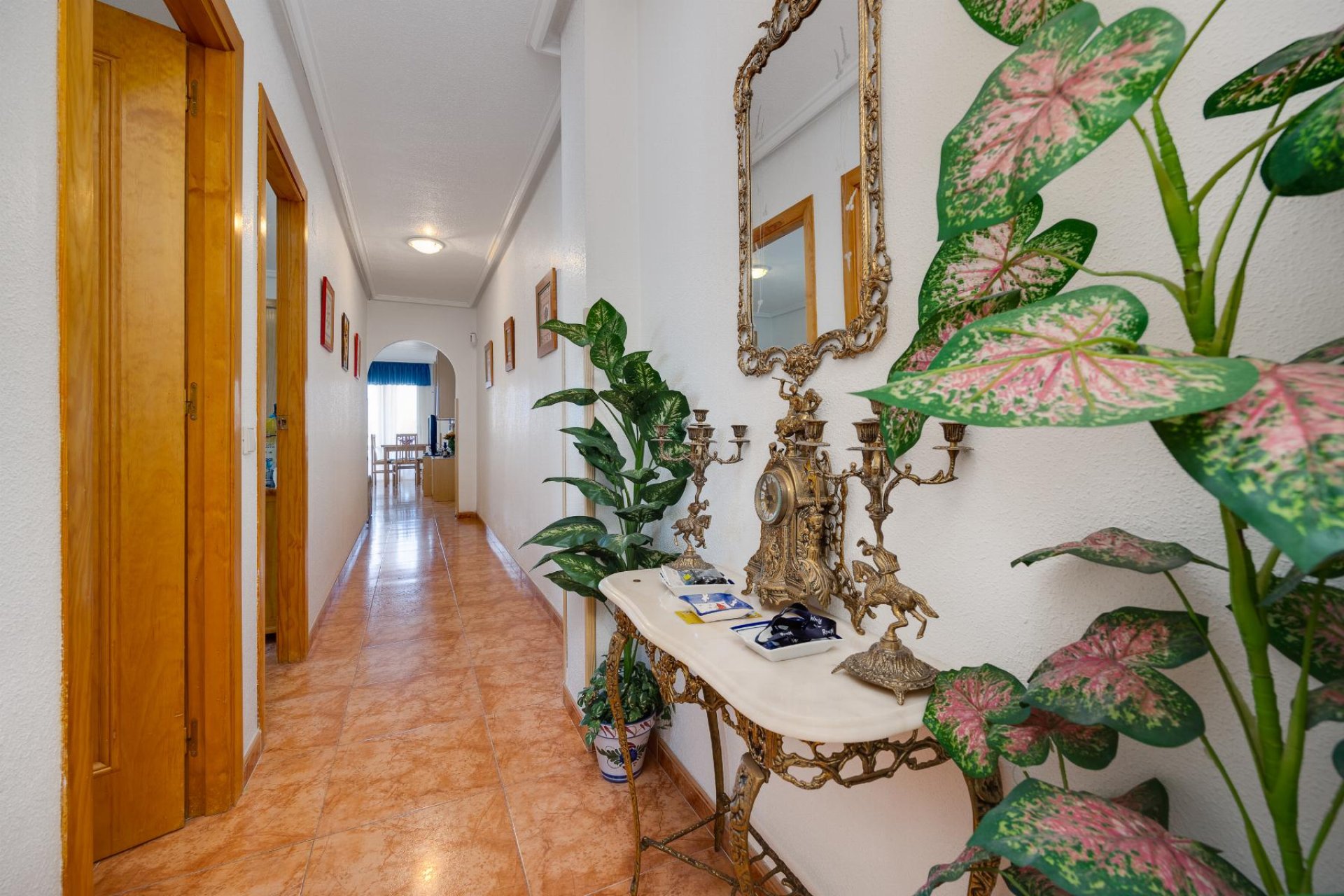 Reventa - Apartment - Torrevieja - Centro