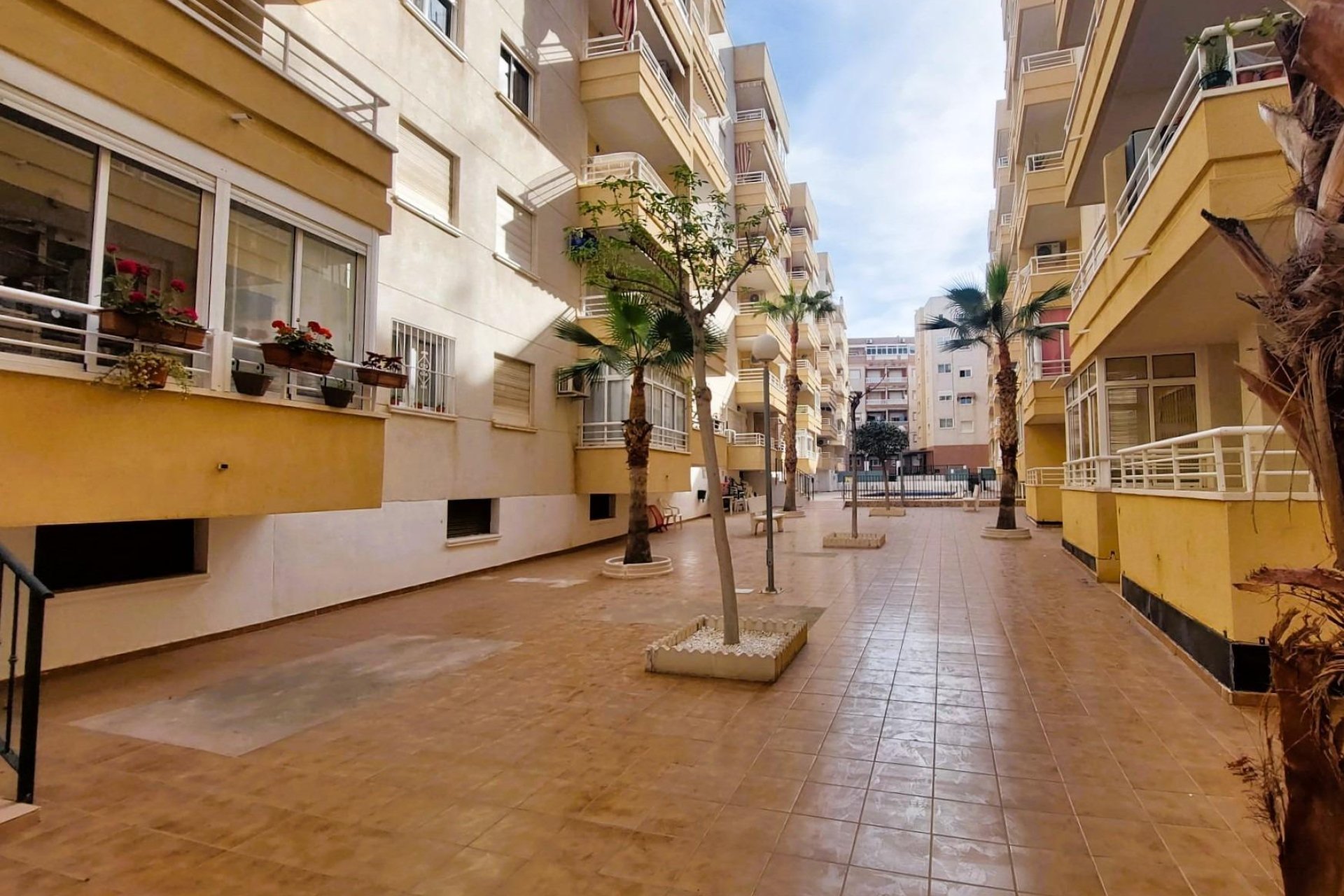 Reventa - Apartment - Torrevieja - Centro