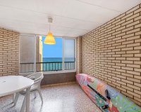 Reventa - Apartment - Torrevieja - Playa de los locos