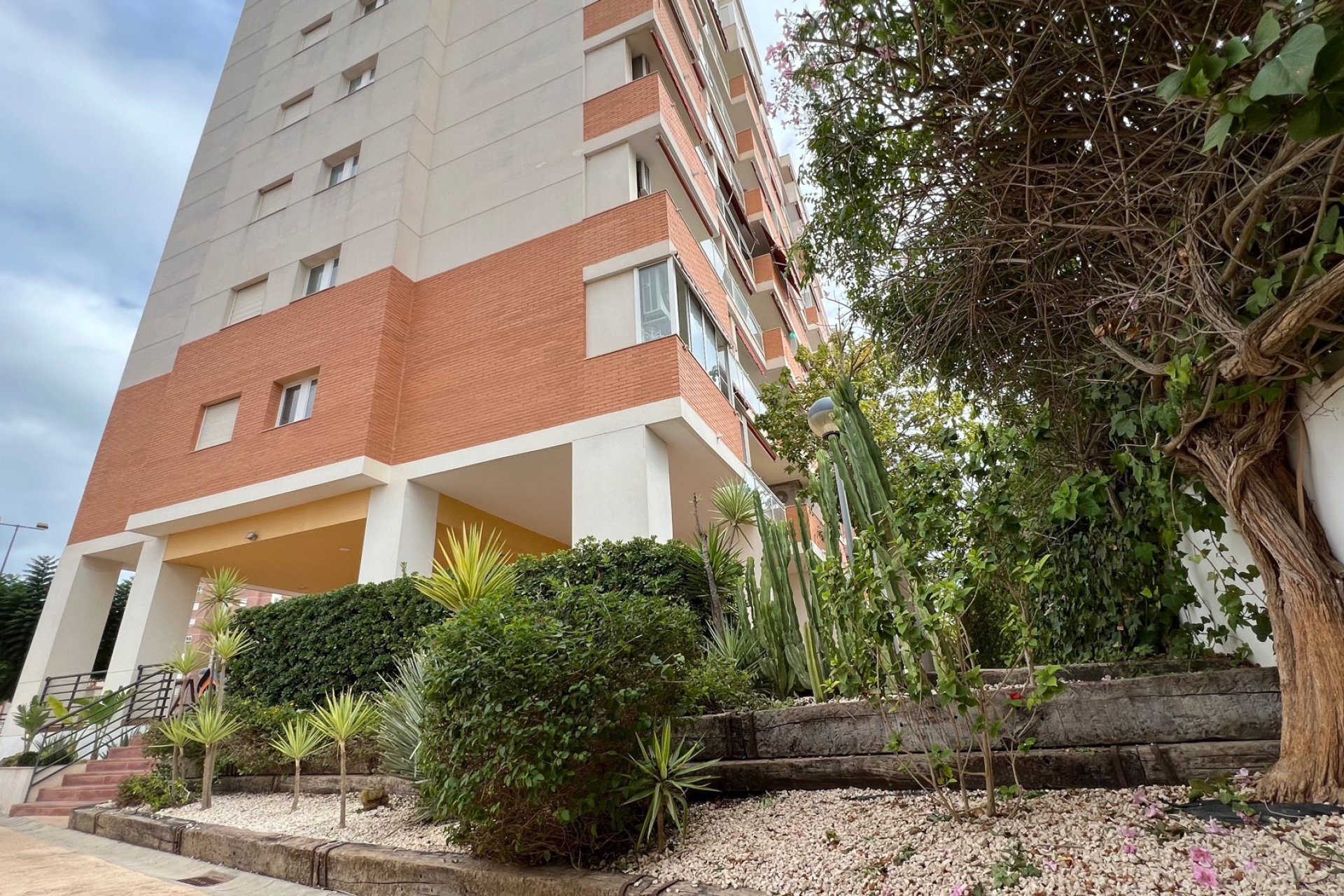 Reventa - Apartmento - Guardamar del Segura - Puerto