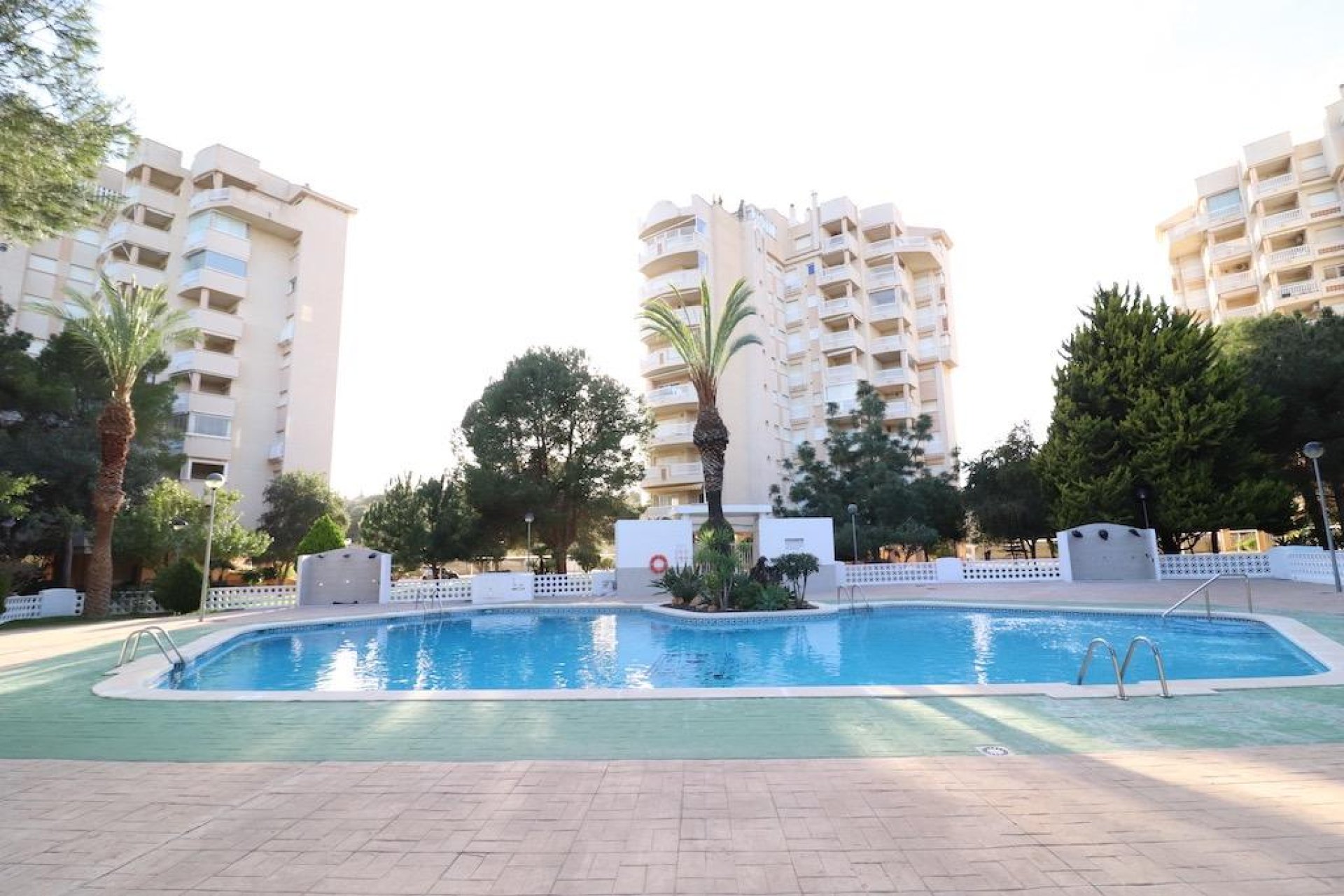 Reventa - Apartmento - Orihuela Costa - Campoamor