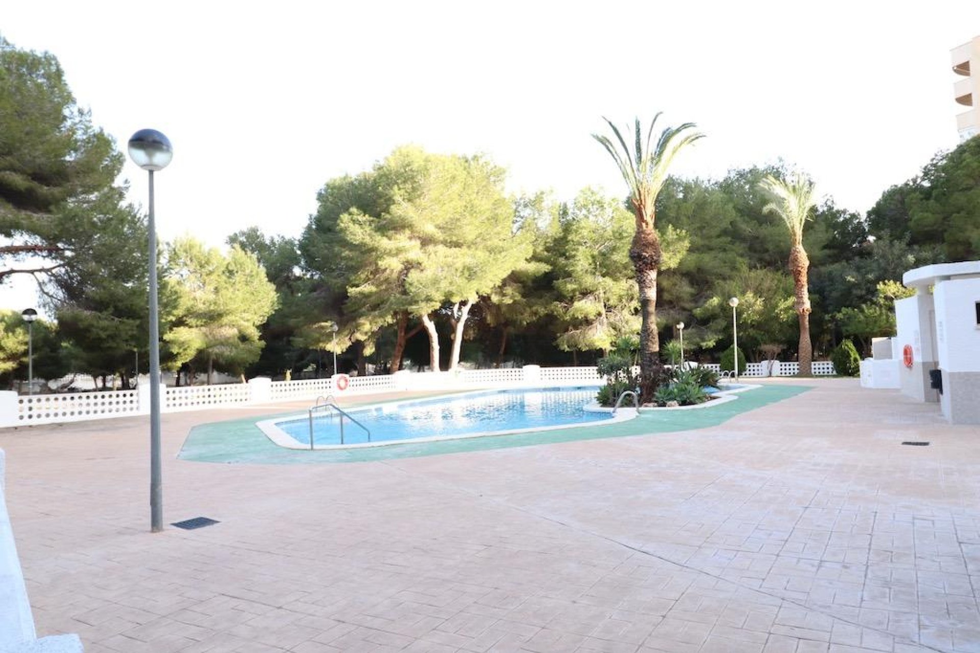 Reventa - Apartmento - Orihuela Costa - Campoamor