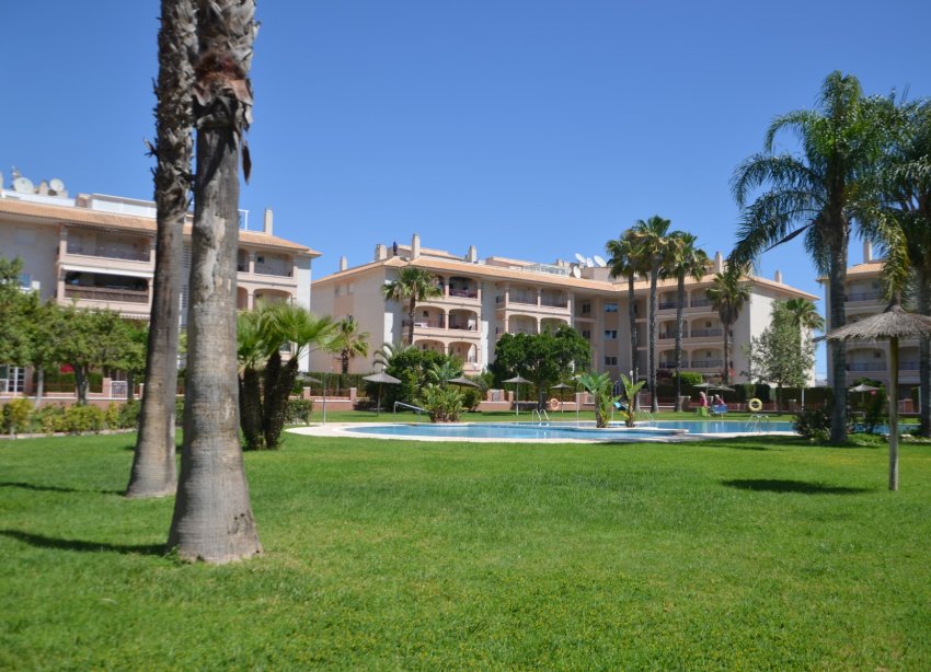 Reventa - Apartmento - Orihuela Costa - Playa Flamenca