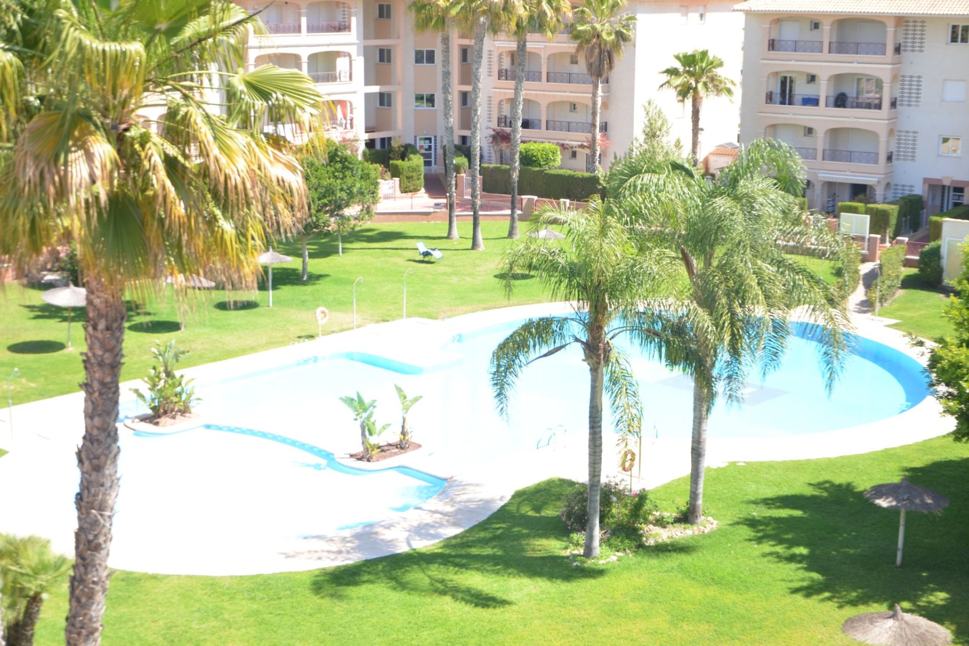 Reventa - Apartmento - Orihuela Costa - Playa Flamenca